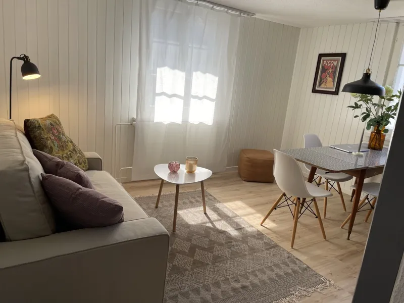 Charming 1.5-room apartment in the old village centre